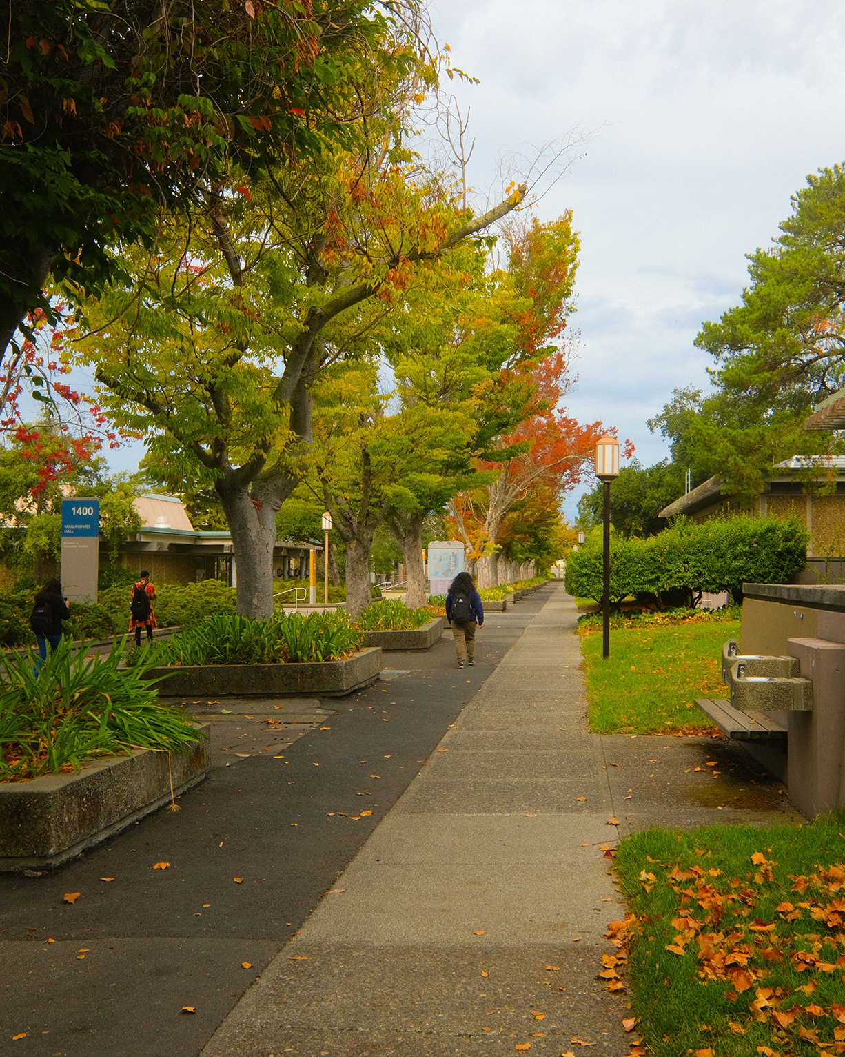 Napa Valley College