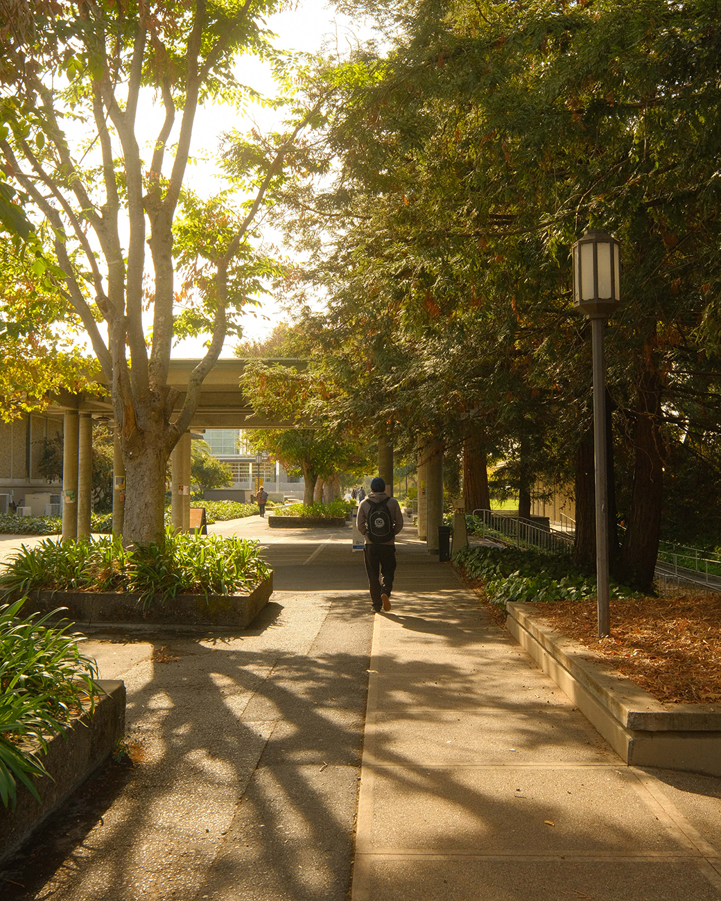 Napa Valley College